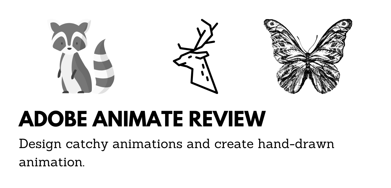 ADOBE ANIMATE Software Review Infies