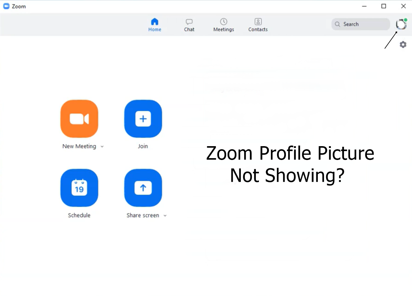 Fix zoom not showing profile picture infies