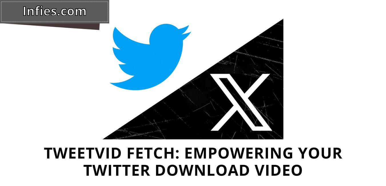 download twitter or x video online